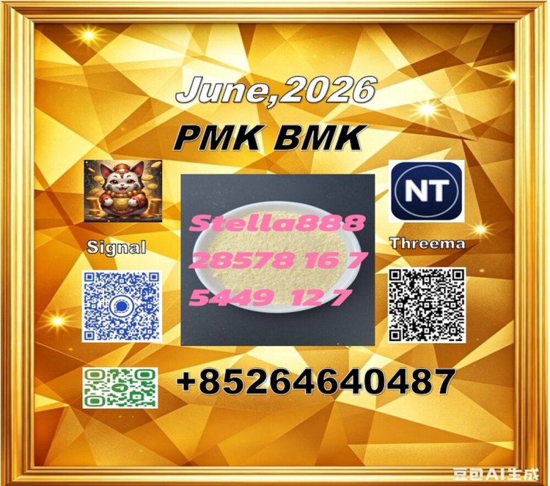 PMK 28578-16-7 | International Logistics Network