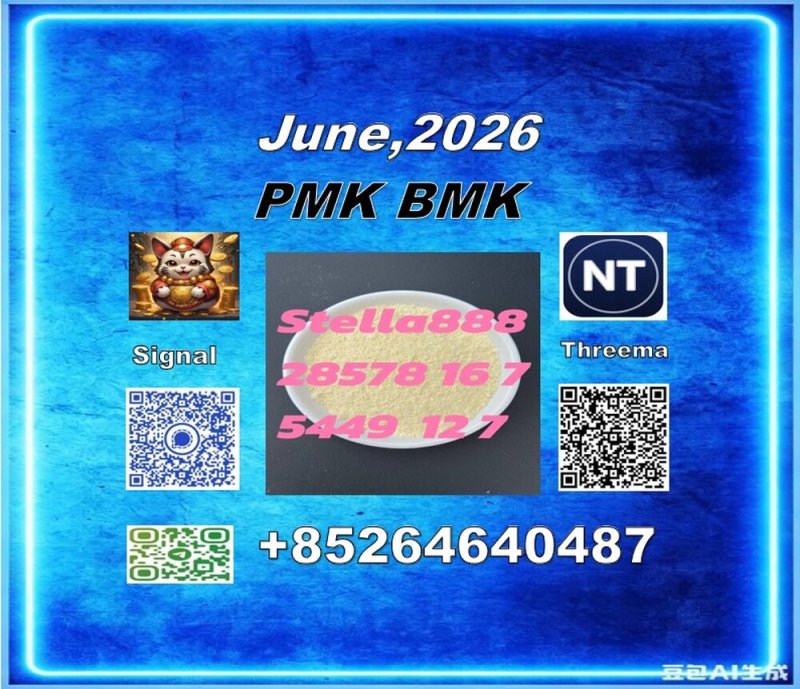 PMK 28578-16-7 | International Logistics Network