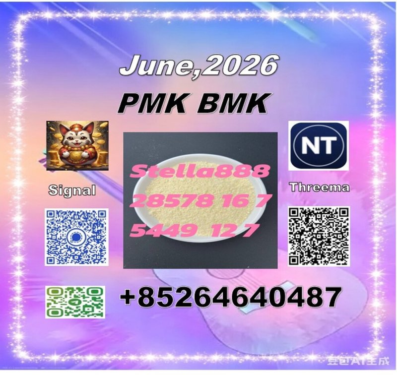 PMK 28578-16-7 | International Logistics Network
