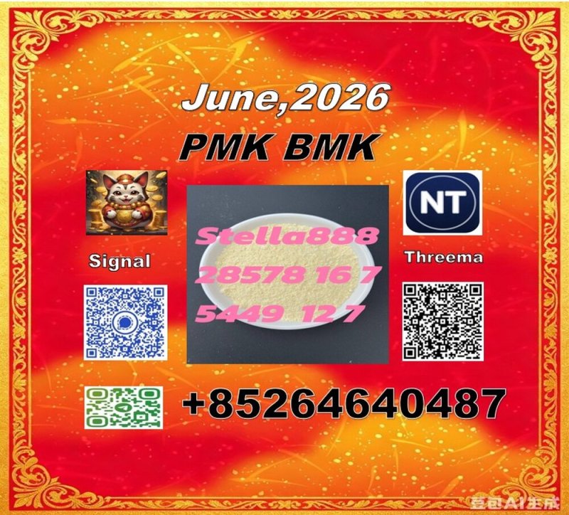PMK 28578-16-7 | International Logistics Network