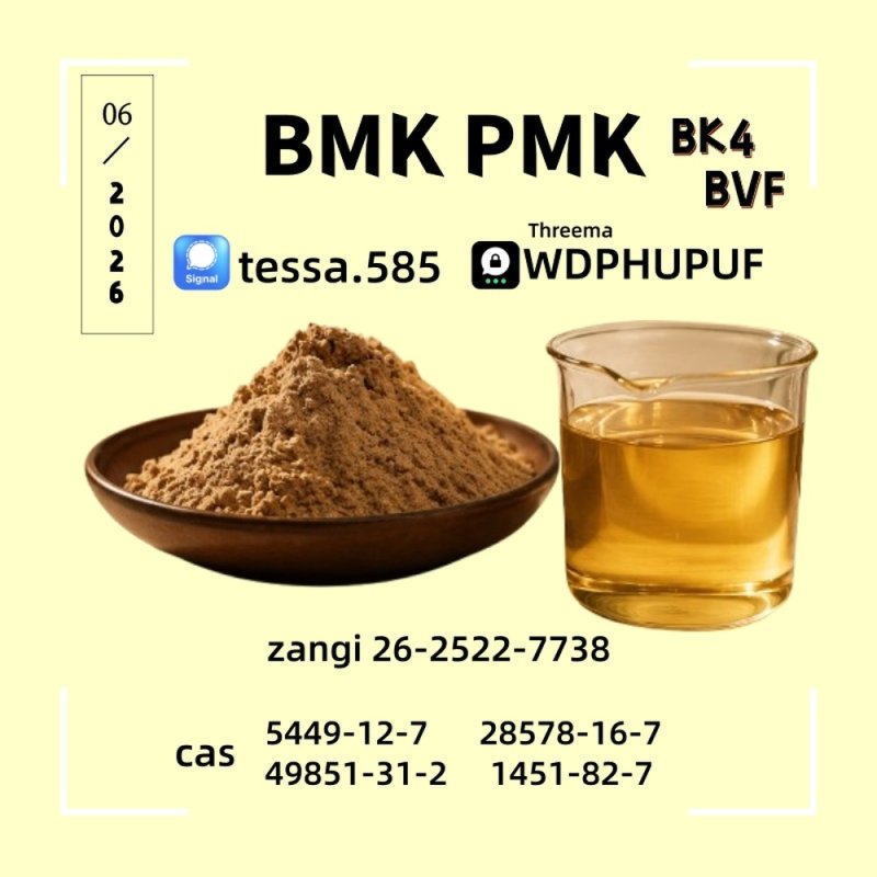 CAS 5449-12-7oil BMK Glycidic Acid sodium salt 99% High Purity Powder Technical Chemical Manufacturer