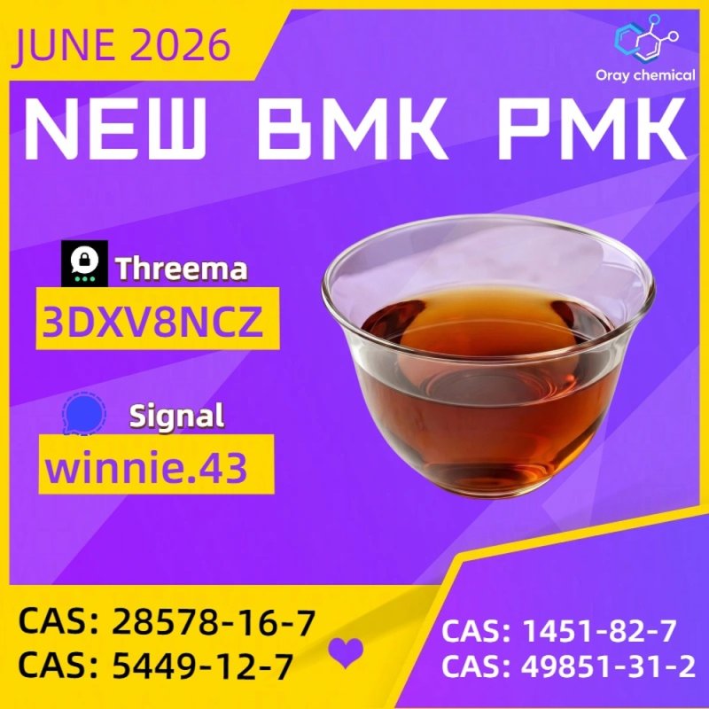99% High Purity CAS 5449-12-7 BMK Glycidic Acid sodium salt Powder Reliable Logistics Partner