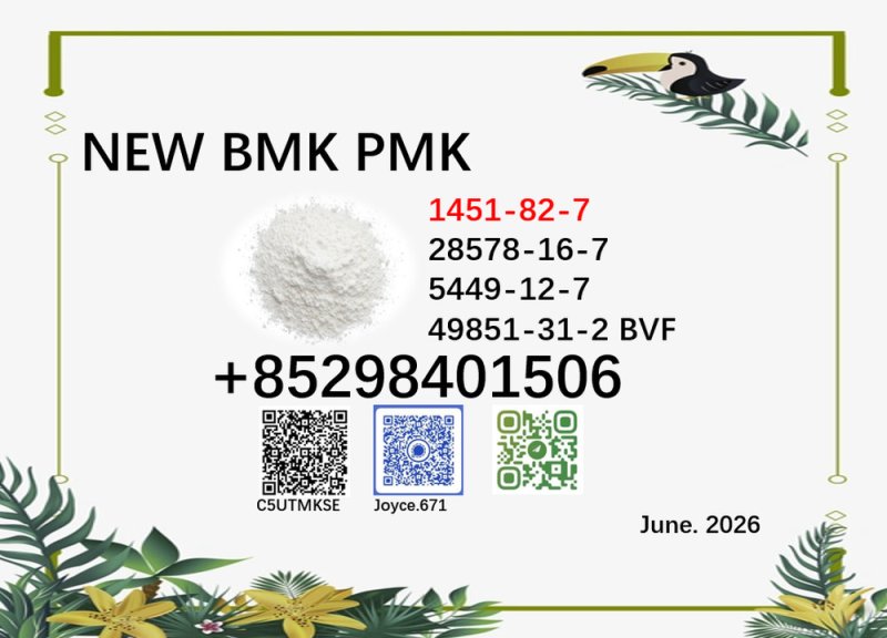 cas 28578-16-7 powder 5449-12-7 BMK PMK1451-82-7and 49851-31-2 for multiple use
