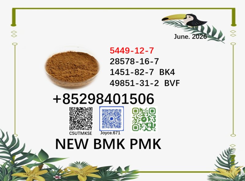 BMK CAS 5449-12-7 supplied 28578-16-7 for selling