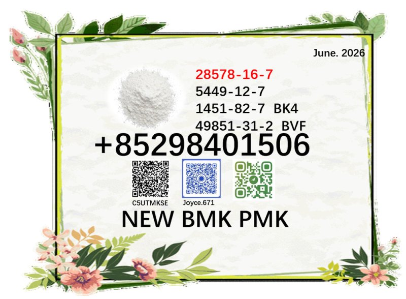 28578-16-7 BMK 5449-12-7 factory supply 49851-31-2 / 1451-82-7 with cheapest price