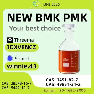 BM K 5449-12-7 Supplier High Purity 28578-16-7 PMK Bulk Chemicals 49851-31-2 1451-82-7