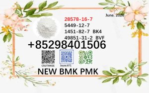cas 5449-12-7 cas 28578-16-7 BMK 1451-82-7 support large order supply PMK powder 49851-31-2