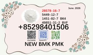Latest batch NEW PMK BMK 5449-12-7 & 28578-16-7 wholesale