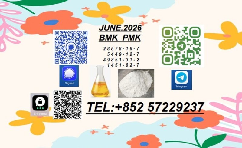 P M K Glycidate Powder Oil |  28578-16-7 | Fast Shipping