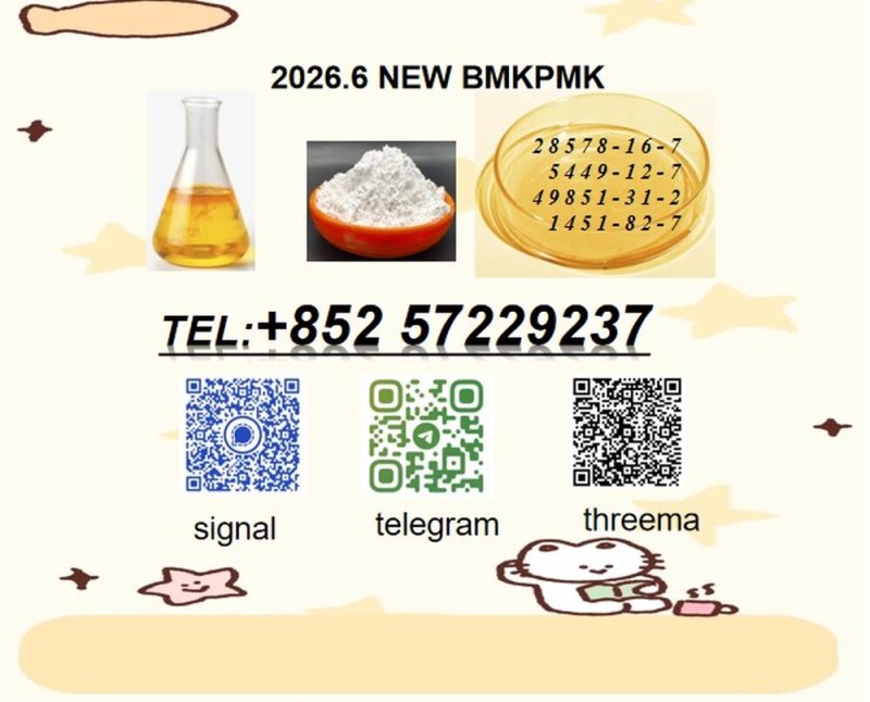 Supply Chain and Logistics Advantage BMK 5449-12-7 PMK 28578-16-7