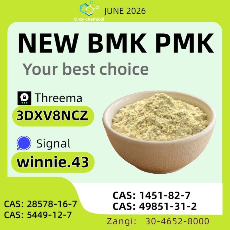 99% High Purity CAS 5449-12-7 BMK Glycidic Acid sodium salt Powder Reliable Logistics Partner