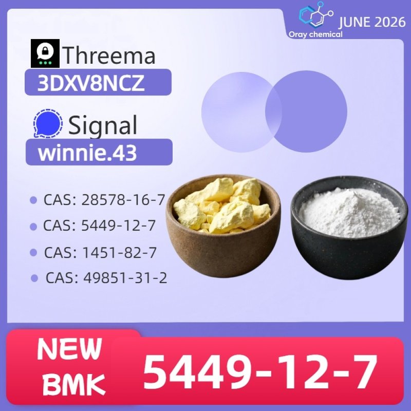 99% High Purity CAS 5449-12-7 BMK Glycidic Acid sodium salt Powder Reliable Logistics Partner