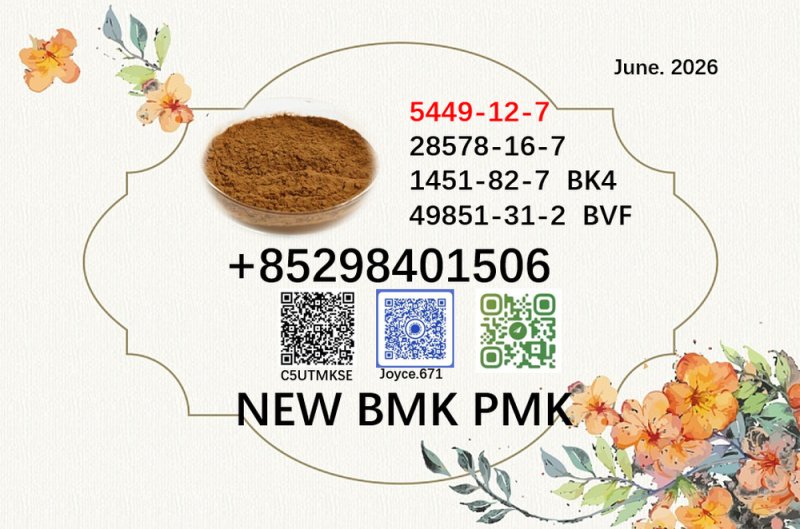 Supply 5449-12-7 cas 28578-16-7 BMK PMK powder 1451-82-7 and 49851-31-2