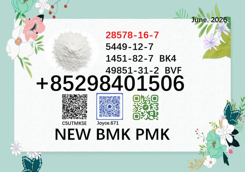 28578-16-7 BMK oil cas 5449-12-7 PMK powder 1451-82-7 top seller 49851-31-2 manufacturer