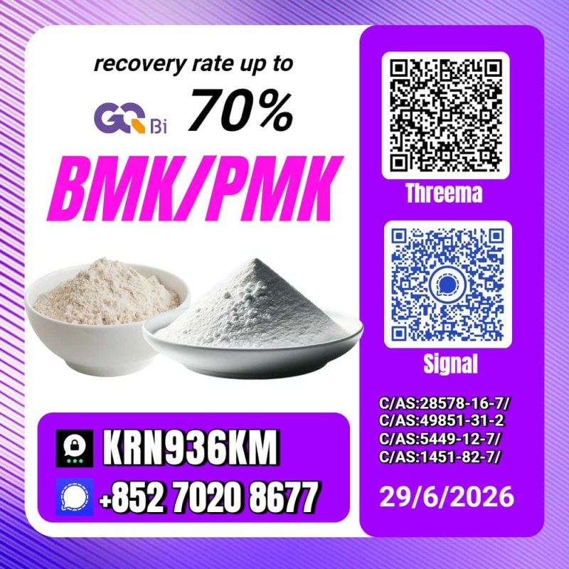 PM.K/C.AS:28578-16-7/Top Quality BM.K/5449-12-7/