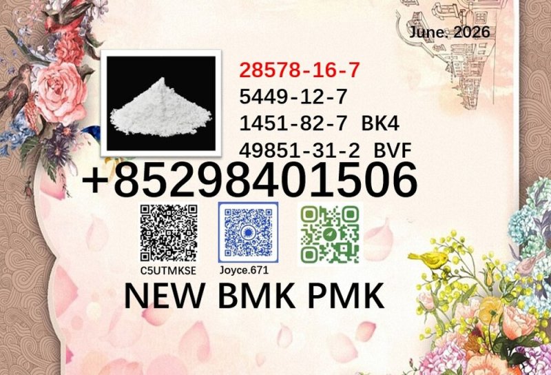 5449-12-7 cas 28578-16-7 BMK 1451-82-7 PMK powder 49851-31-2 support large order supply