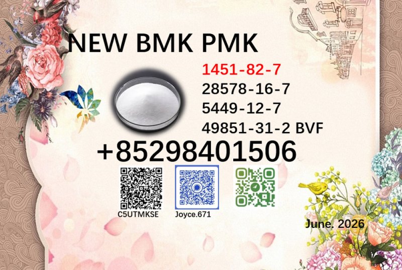 PMK powder cas 28578-16-7 with cas 5449-12-7 / 1451-82-7 / 49851-31-2 BMK bulk supply