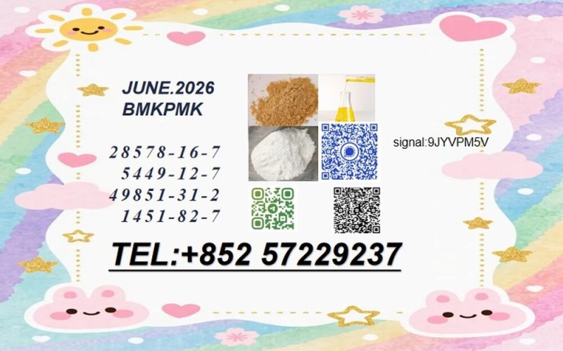 Your Trusted Partner for BMK 5449-12-7 PMK 28578-16-7