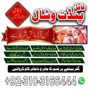 Astrologer in UK - Vashikaran Expert Get Help Before It’s Late Amil Baba in UK World Famous Amil Bab