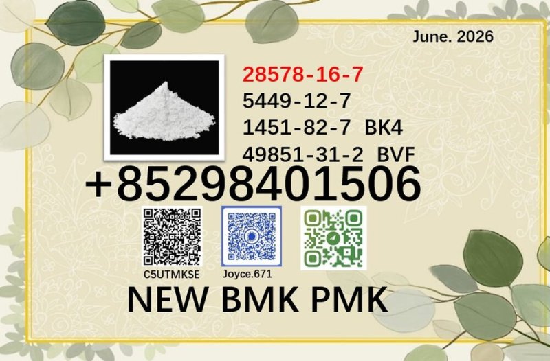 Best quote cas 5449-12-7/28578-16-7 BMK PMK oil powder with certificate