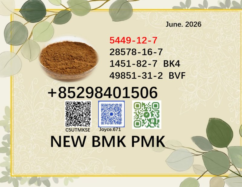 CAS 5449-12-7 and 28578-16-7 BMK PMK Powder factory supply with high quality