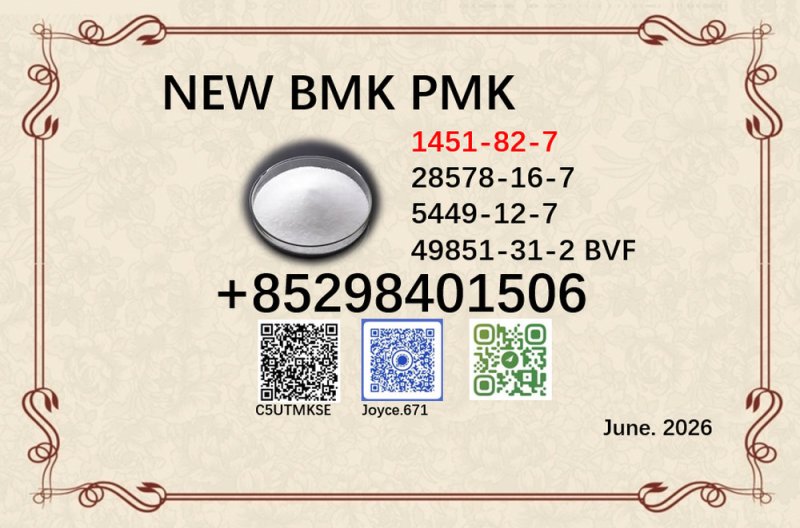 Best price CAS 28578-16-7 BMK CAS 5449-12-7 factory supply 49851-31-2 /1451-82-7