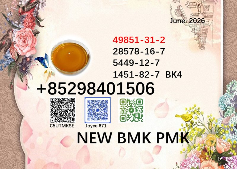 Factory direct supply 28578-16-7 New BMK PMK Powder 5449-12-7