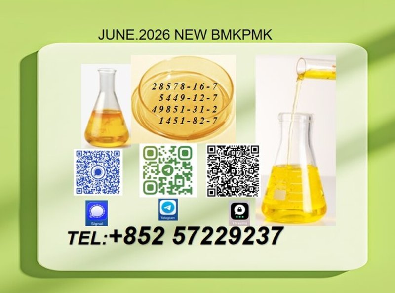 New 28578- 16- 7 P M K High Standard Production