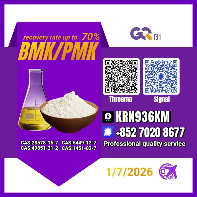 Sell New PM.K/ CAS:28578-16-7/ BM.K/5449-12-7