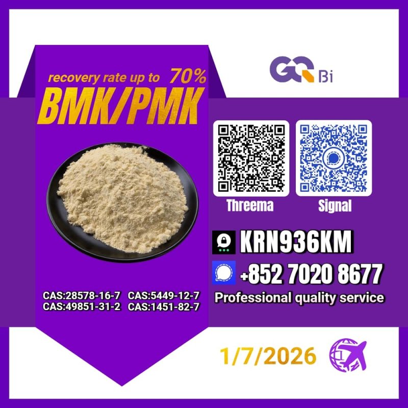 Sell New PM.K/ CAS:28578-16-7/ BM.K/5449-12-7/