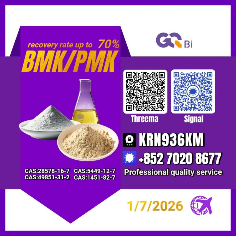 Sell New PM.K/ CAS:28578-16-7/ BM.K/5449-12-7/
