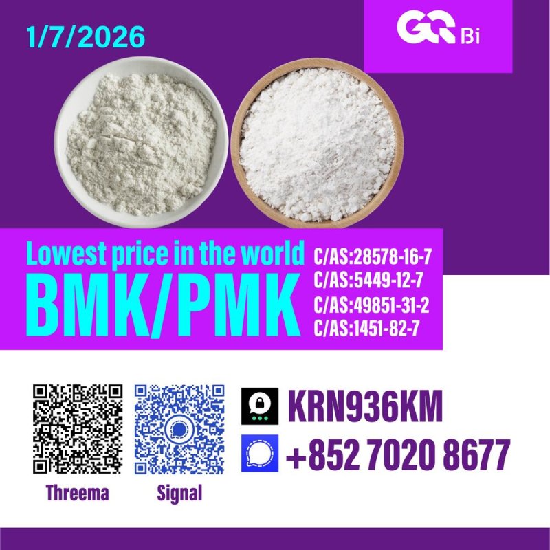 Sell New PM.K/ CAS:28578-16-7/ BM.K/5449-12-7
