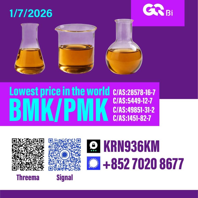 Sell New PM.K/ CAS:28578-16-7/ BM.K/5449-12-7
