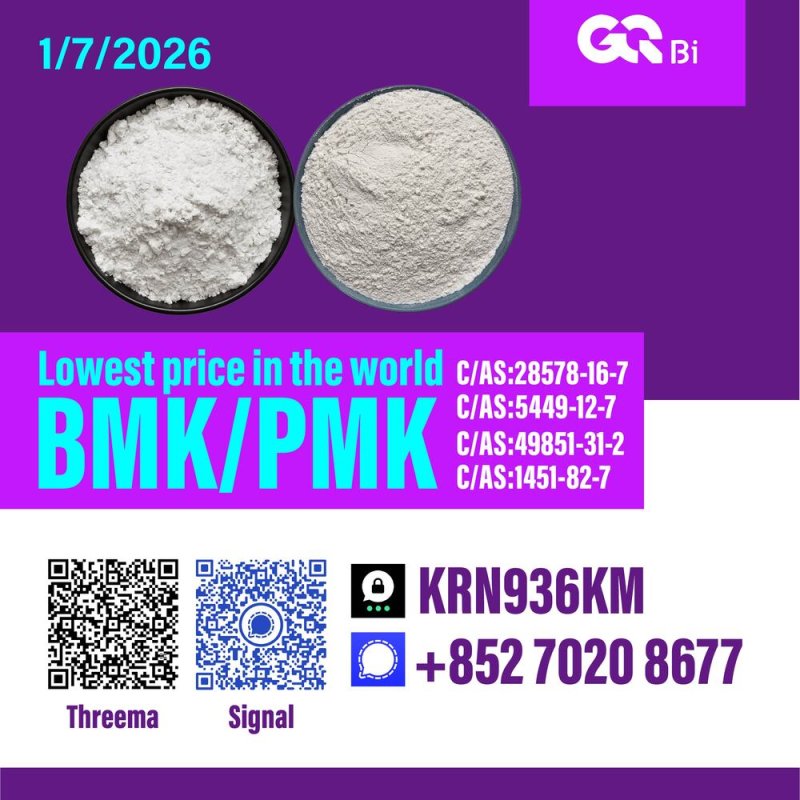 Sell New PM.K/ CAS:28578-16-7/ BM.K/5449-12-7