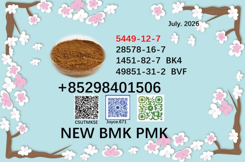 World Trade Vendor BM.K/P.MK Power CAS 5449-12-7 and 28578-16-7