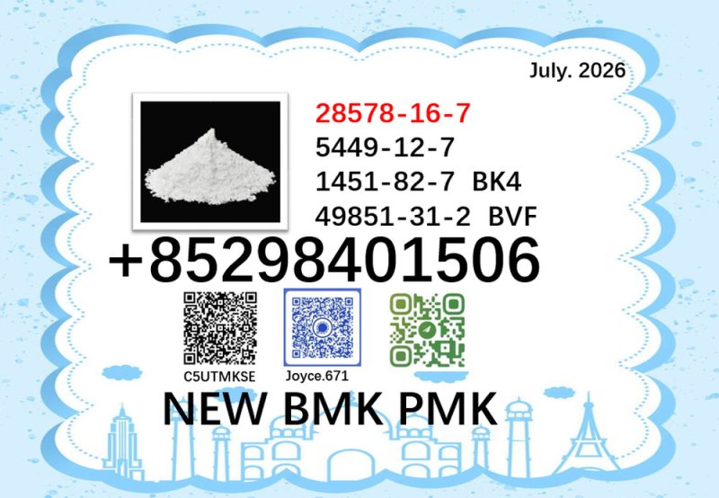 BMK 5449-12-7 Supplier High Purity 28578-16-7 PMK 1451-82-7 and 49851-31-2