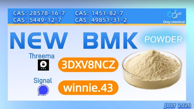 PMK CAS 28578-16-7 High Quality Industrial Chemical