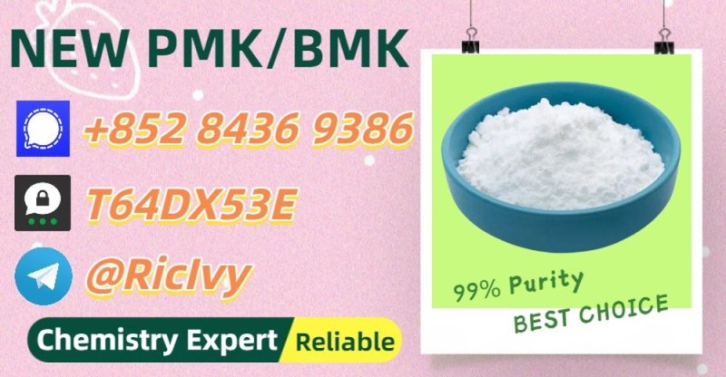 Worldwide Trading Vendor 28578-16-7 Powder 5449-12-7 P.MK Oil