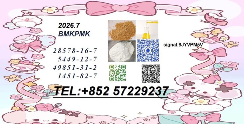 Cas 28578-16-7 New PM.K  reliable delivery Choose the Right Source