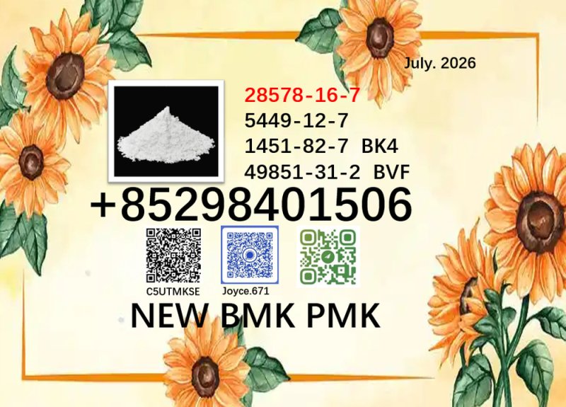 Hot sale cas 5449-12-7 new PMK BMK 28578-16-7 cas1451-82-7 factory supply