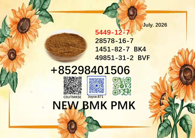 Fast delivery 28578-16-7/5449-12-7 PMK BMK Powder for urgent orders