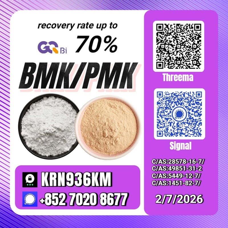 International Trade New PM.K 28578-16-7/ BM.K CAS:5449-12-7/