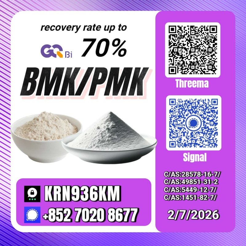 Global Distribution New PM.K 28578-16-7/ BM.K CAS:5449-12-7/