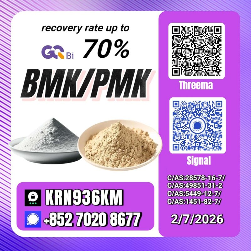 Strategic Sourcing New PM.K 28578-16-7/ BM.K CAS:5449-12-7/