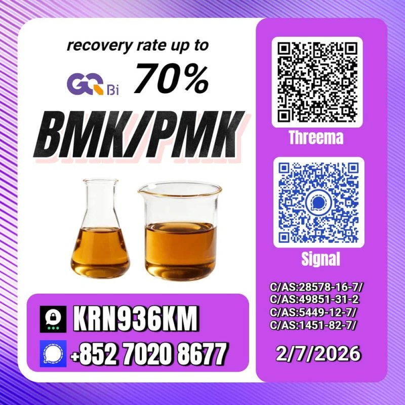 Procurement Services New PM.K 28578-16-7/ BM.K CAS:5449-12-7/