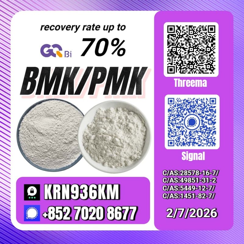 Trade Excellence New PM.K 28578-16-7/ BM.K CAS:5449-12-7/