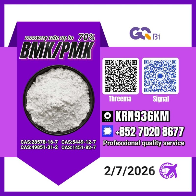 New PM.K 28578-16-7/ BM.K CAS:5449-12-7/ Worldwide Network