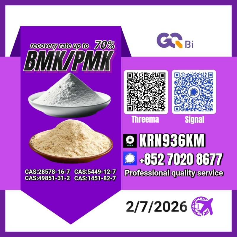 New PM.K 28578-16-7/ BM.K CAS:5449-12-7/ Business Expansion