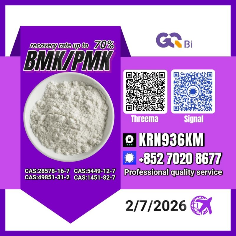 New PM.K 28578-16-7/ BM.K CAS:5449-12-7/ Industry Expertise