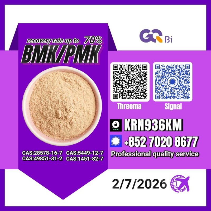 New PM.K 28578-16-7/ BM.K CAS:5449-12-7/ Customer Focused